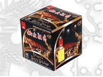 J15 - Dragon's Happy Holidays Special Edition