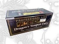P14 - Dragon's Tempest Fury